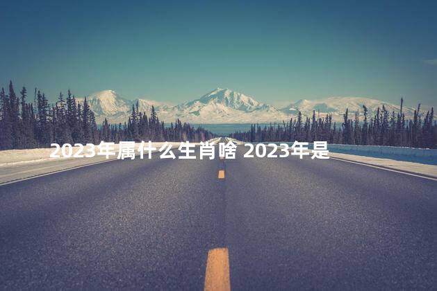 2023年属什么生肖啥 2023年是兔年吗